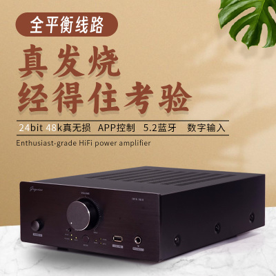 丹麦发烧级HIFI大功率纯功放