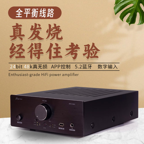 丹麦发烧级HIFI大功率纯功放