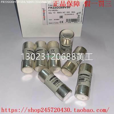 FR22GG69V32 FR22GG69V40 FR22GG69V50 FR22GG69V63 MERSEN熔断器