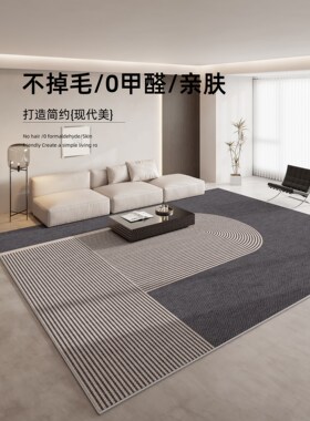 地毯客厅2025新款可洗可擦卧室床边毛毯可及豪华高端加厚防水沙发