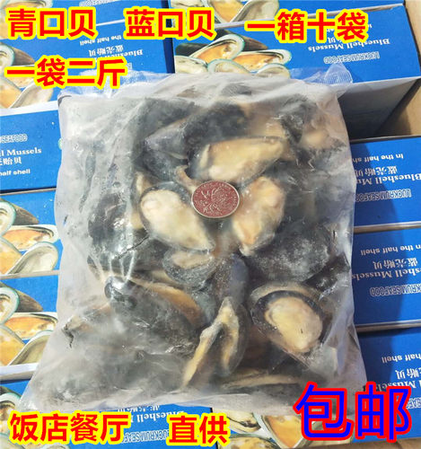 野生鲜活速冻大贻贝青口贝蓝口贝黑口贝海虹贝淡菜冷冻半壳贝海鲜
