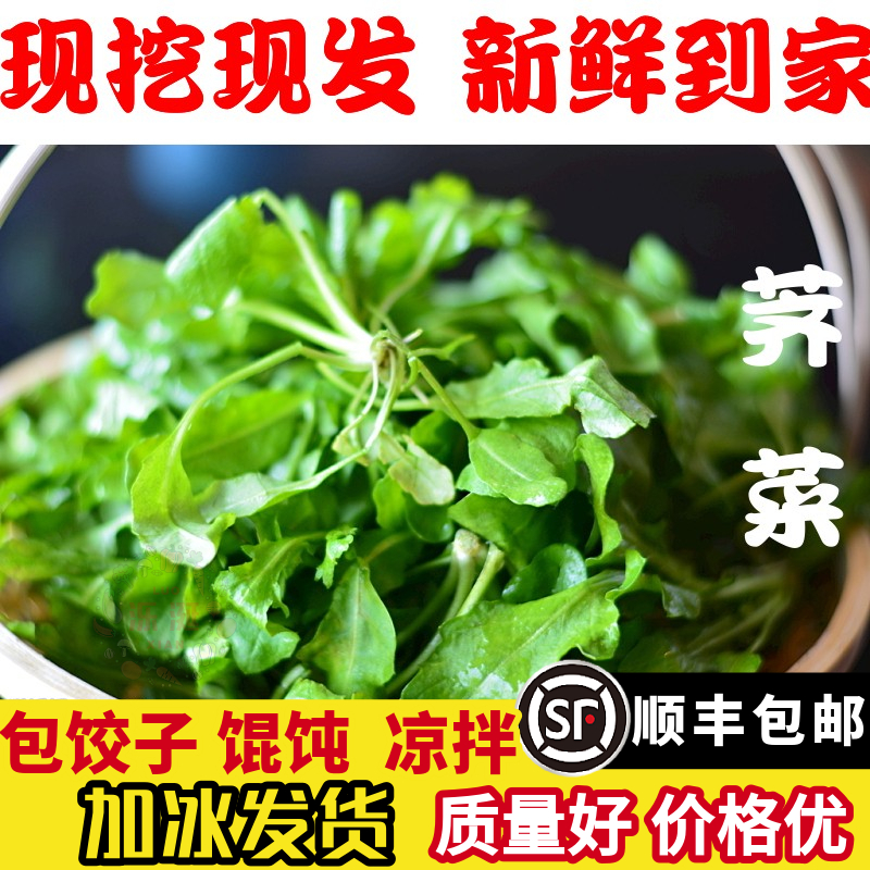 [顺丰送货上门]2025年新鲜荠菜露天野菜荠荠菜饺子馄饨馅加冰发货