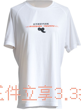 武道世家BUDOSAGA 专业武术短袖T恤全天候武术训练服