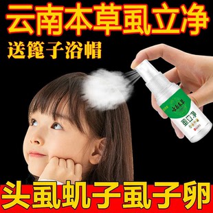 【云南本草】去虱子卵的药儿童女孩头发虱立净头虱阴虱扫光正品