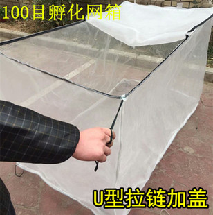 水蛭催产池产100目加盖网箱网孵化育苗网箱泥鳅黄鳝 养鱼网箱定做