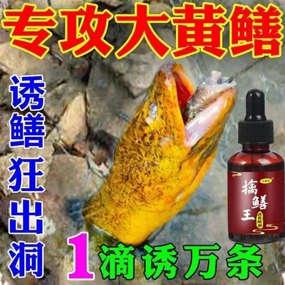 擒鳝王黄鳝小药鳝鱼专用诱饵开口泥鳅诱捕饵料小药腥臭诱食剂正品