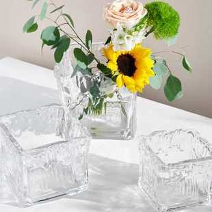 网红冰雕玻璃方缸水培植物绿萝铜钱草花瓶创意摆件客厅桌面北欧风