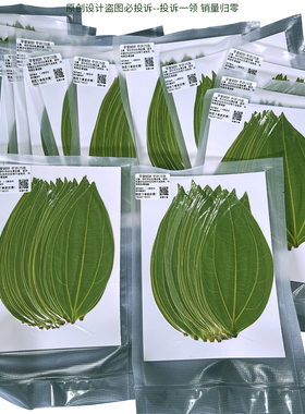 平安叶专用树叶激光雕刻树叶干燥处理真空包装发货
