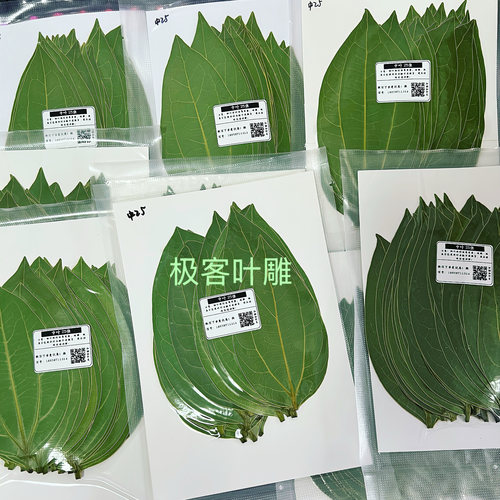 极客叶雕专用树叶质优批发