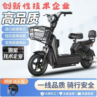 电瓶车 新国标电动自行车成人小型代步轻便式 2026新款 电动车男女式