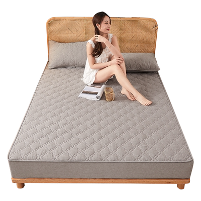 床笠2024年新款纯棉全棉床罩