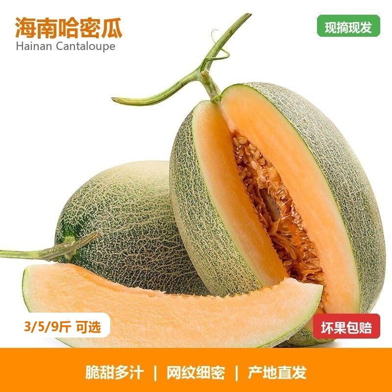 海南西洲蜜瓜哈密瓜新鲜水果蜜甜当季现摘带箱9斤非网纹瓜