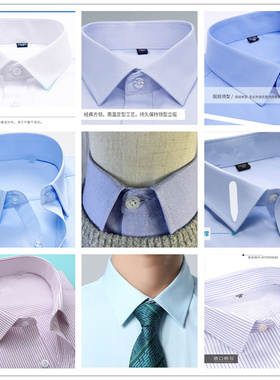 职业银行白色假领子男女通用条纹衬衫领毛衣装饰领尖领方领节约领