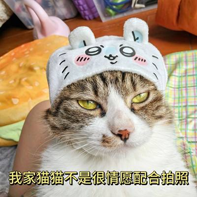 日单正品奇谭自嘲熊猫咪头套Chiikawa吉伊卡哇小八狮萨飞鼠栗子头