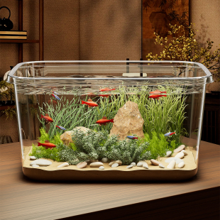 高透明加厚鱼缸客厅养鱼养龟桌面生态缸家用饲养大容量小金鱼水缸