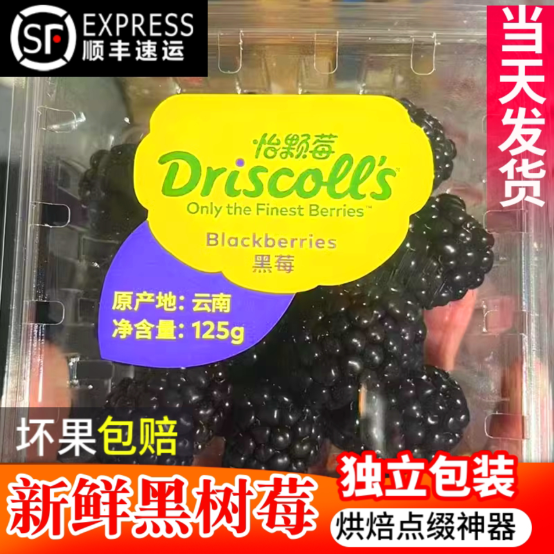 当季云南怡颗莓黑树莓桑葚覆盆子蓝莓