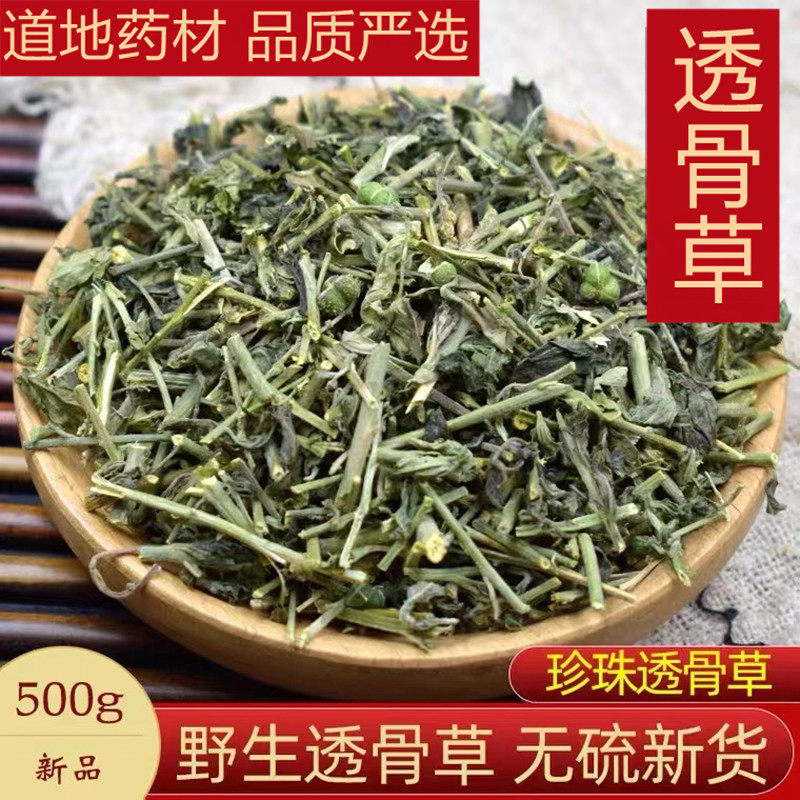 中药材新鲜珍珠透骨草500g