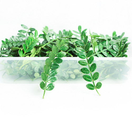 清香木阳台江浙户包邮驱蚊虫