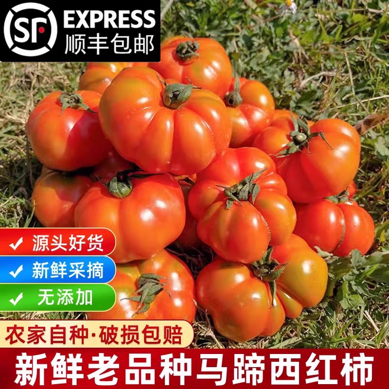 顺丰包邮云南新鲜蔬菜自然熟马蹄番茄老品种西红柿狮子头生吃水果,水产肉类/新鲜蔬果/熟食,番茄,淘宝优惠券,粉丝福利购,淘宝优惠卷