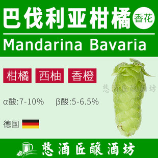 巴伐利亚柑橘Mandarina Bavaria 啤酒花颗粒【新式香花】