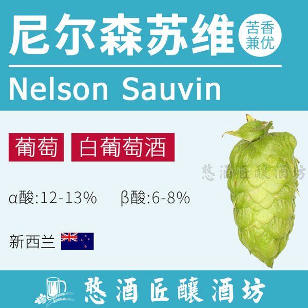 尼尔森苏维 nelson sauvin新西兰酿啤酒花颗粒兼优【浓郁葡萄味】
