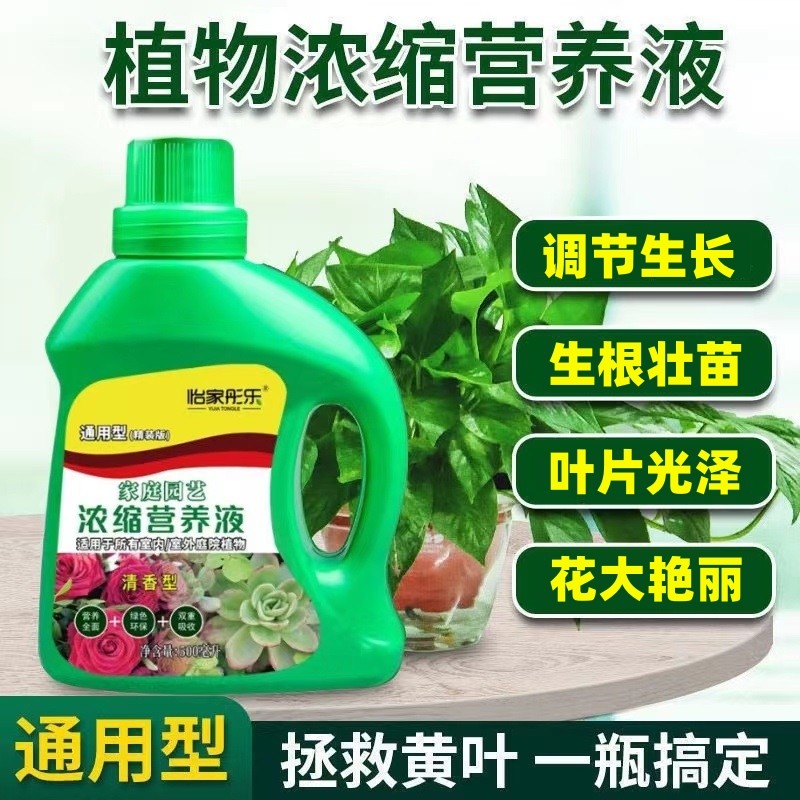 营养液植物通用型花肥发财树富贵竹绿萝水培盆栽家用花卉养花肥料