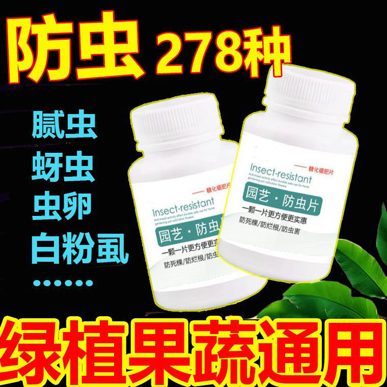 园艺防虫片糖化硼肥片防杀虫剂植物小白药吡虫啉花卉驱蚊驱虫