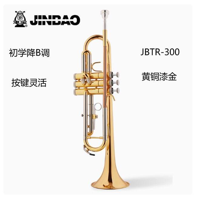 降B小号津宝初级考级专业演奏
