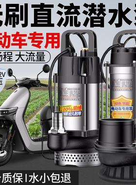 无刷直流潜水泵48v60v72v电动车通用电瓶车专用抽水泵浇菜灌溉机
