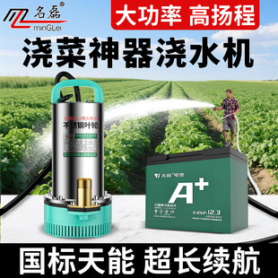 12V抽水泵大功率24伏直流潜水泵48v60v72v电动车电瓶车专用水泵机