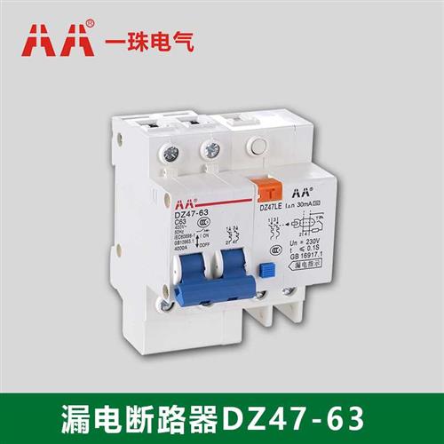 新AA一珠电气DZ47LE-63型漏电断路器漏电保护开关珠江电气热销