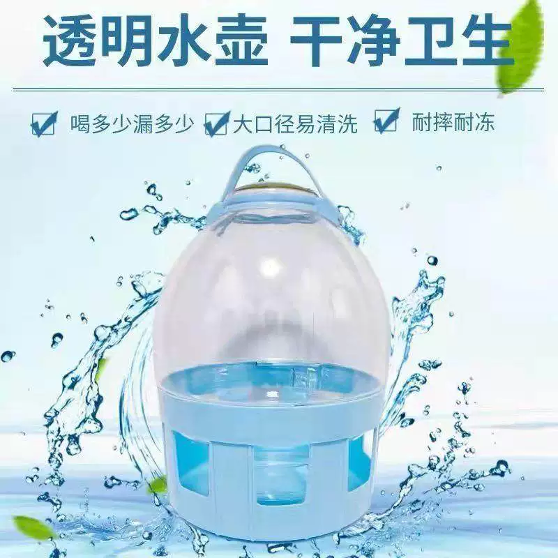 鸽子用品用具饮水器自动喂水信鸽
