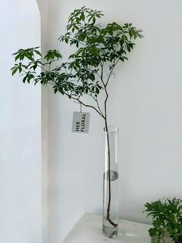 透明玻璃瓶细高长花瓶质量怎么样 透明玻璃瓶细高长花瓶口碑怎么样 小麦优选 透明玻璃瓶细高长花瓶质量怎么样 透明玻璃瓶细高长花瓶口碑怎么样 小麦优选