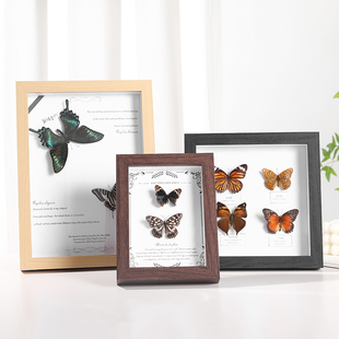 中空相框摆台手工diy蝴蝶a4昆虫标本立体衍纸保存贝壳展示框画框