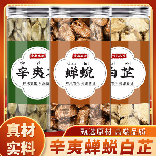 辛夷蝉蜕白芷中药材正品煮水的功效辛夷花香料白芷片调料商用