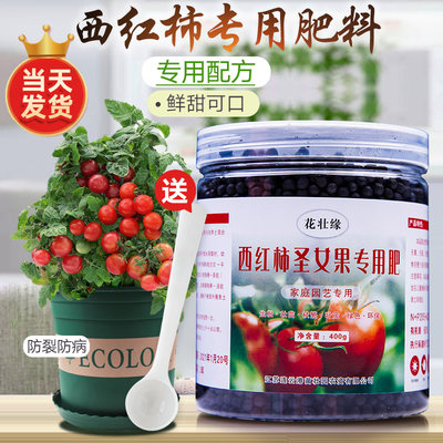 西红柿肥料促进结果早熟
