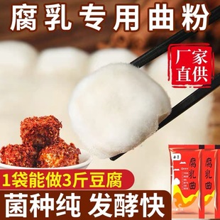 腐乳曲臭豆腐曲家用自制长白毛霉豆腐发酵曲毛豆腐豆豉霉菌粉商用