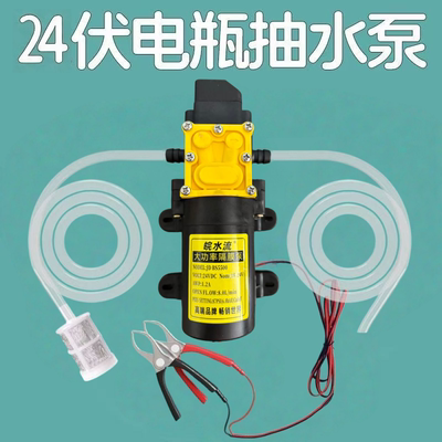 微型高压隔膜泵自吸水泵直流泵12V24v喷雾增压泵小型大流量抽水机