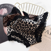 性感小野猫豹纹内裤 女牛奶丝低腰速干冰丝蕾丝边女三角裤 PINKGIRL