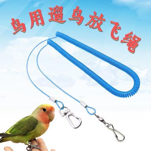 鹦鹉放飞防咬外出遛鸟绳八哥乌鸦玄凤虎皮牡丹训练飞行脚链脚环