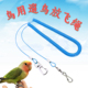 鹦鹉放飞防咬外出遛鸟绳八哥乌鸦玄凤虎皮牡丹训练飞行脚链脚环