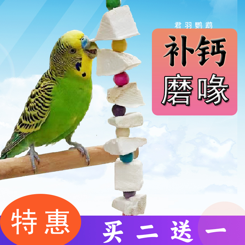 补钙牡丹鸟食吊串啃咬玩具墨鱼骨