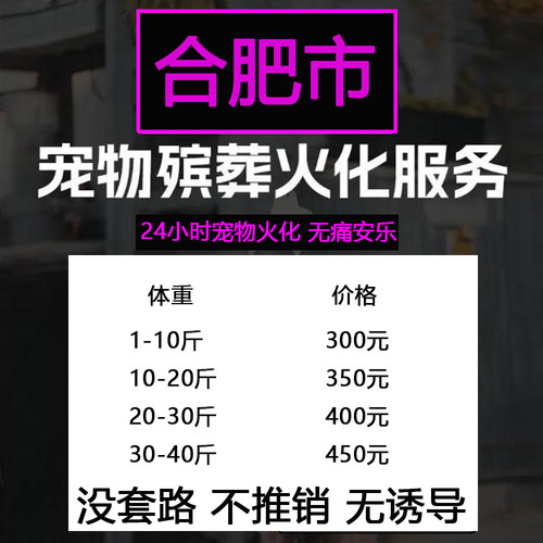 合肥市宠物殡葬善终猫咪兔子狗狗仓鼠毛孩子火化无痛安乐上门服务