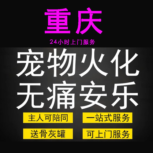 重庆市宠物火化殡葬狗犬猫兔子动物善终尸体安葬无痛安乐上门服务