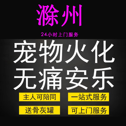 滁州市宠物火化殡葬狗狗猫兔子善终骨灰制作纪念品无痛安乐上门服