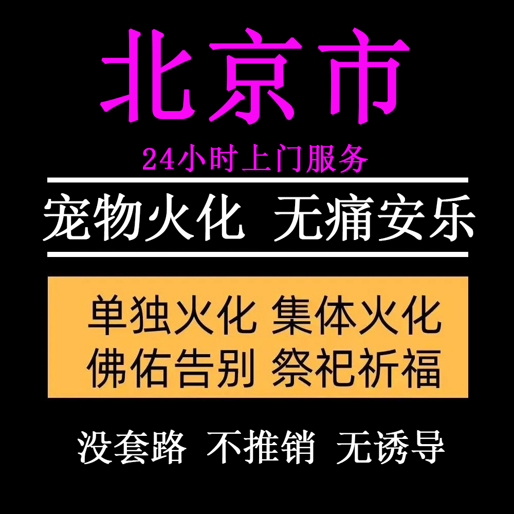 北京市宠物殡葬善终猫咪兔子狗狗仓鼠毛孩子火化无痛安乐上门服务