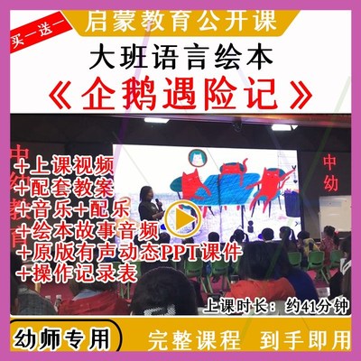 幼儿园大班语言绘本《企鹅遇险记》优质公开课视频教案课件ppt