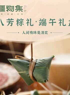 疆物集粽子礼盒八方粽礼清香蜜枣红豆什锦大黄米红枣牛肉花生紫米
