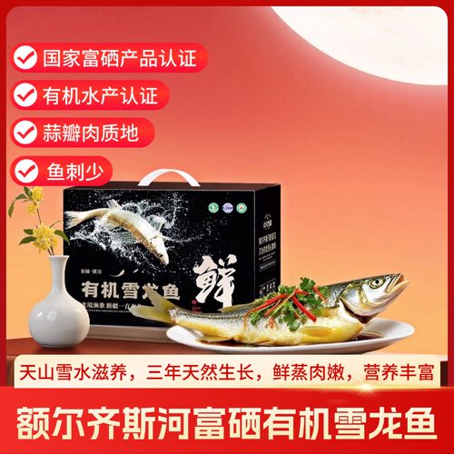 新疆甄鱻额尔齐斯河富硒有机雪龙鱼冰川冷水鱼肉质鲜美细嫩三年生