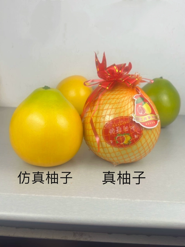 仿真柚子模型假水果模型包邮到家